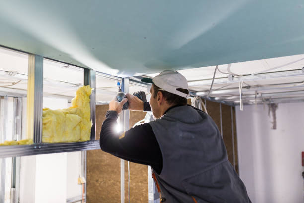 Best Affordable Insulation Services  in Eslon, CA