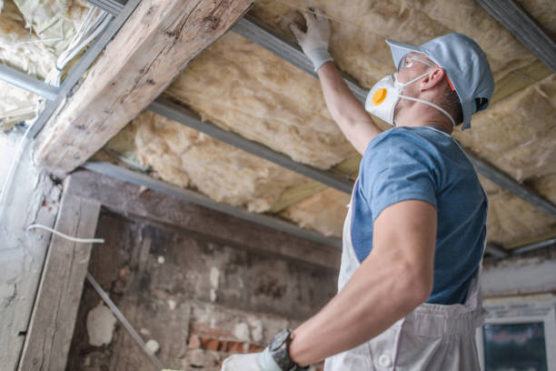 Best Insulation Contractors for Homes  in Eslon, CA