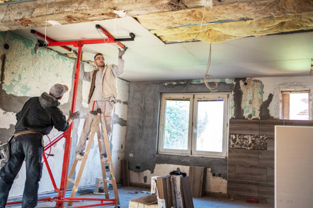 Best Insulation Replacement Services  in Eslon, CA
