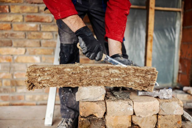 Best Spray Foam Insulation  in Eslon, CA