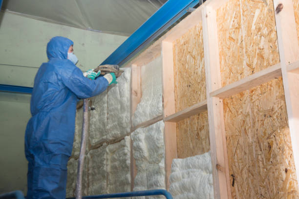 Best Spray Foam Insulation  in Eslon, CA
