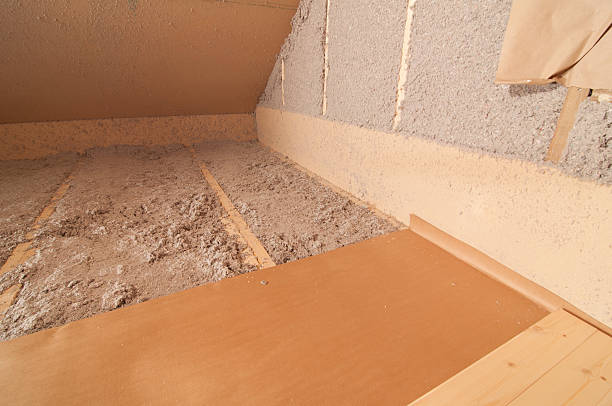 Best Insulation for New Construction  in Eslon, CA