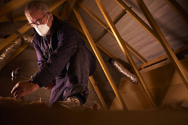 Best Best Insulation Companies  in Eslon, CA
